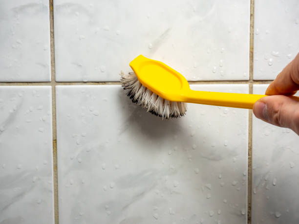 Best Attic Mold Removal  in Harristown, IL