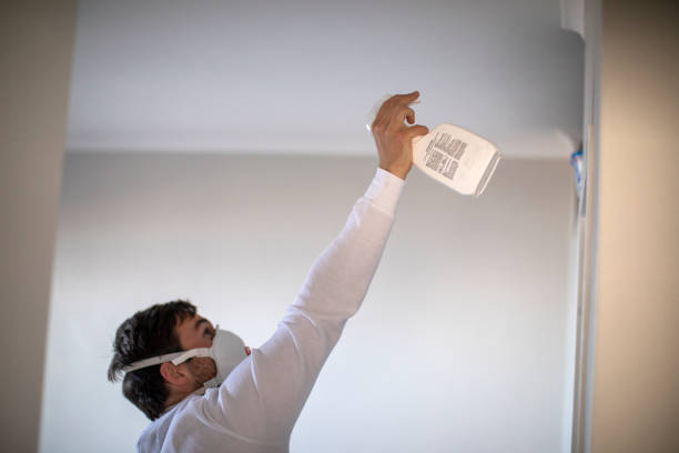 Best Mold Remediation  in Harristown, IL