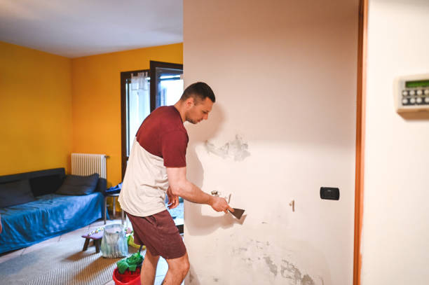 Best Professional Mold Removal  in Harristown, IL